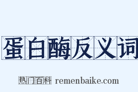 蛋白酶反义词是什么意思的图片